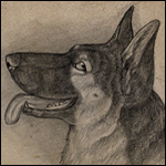 Gizgiz's Avatar